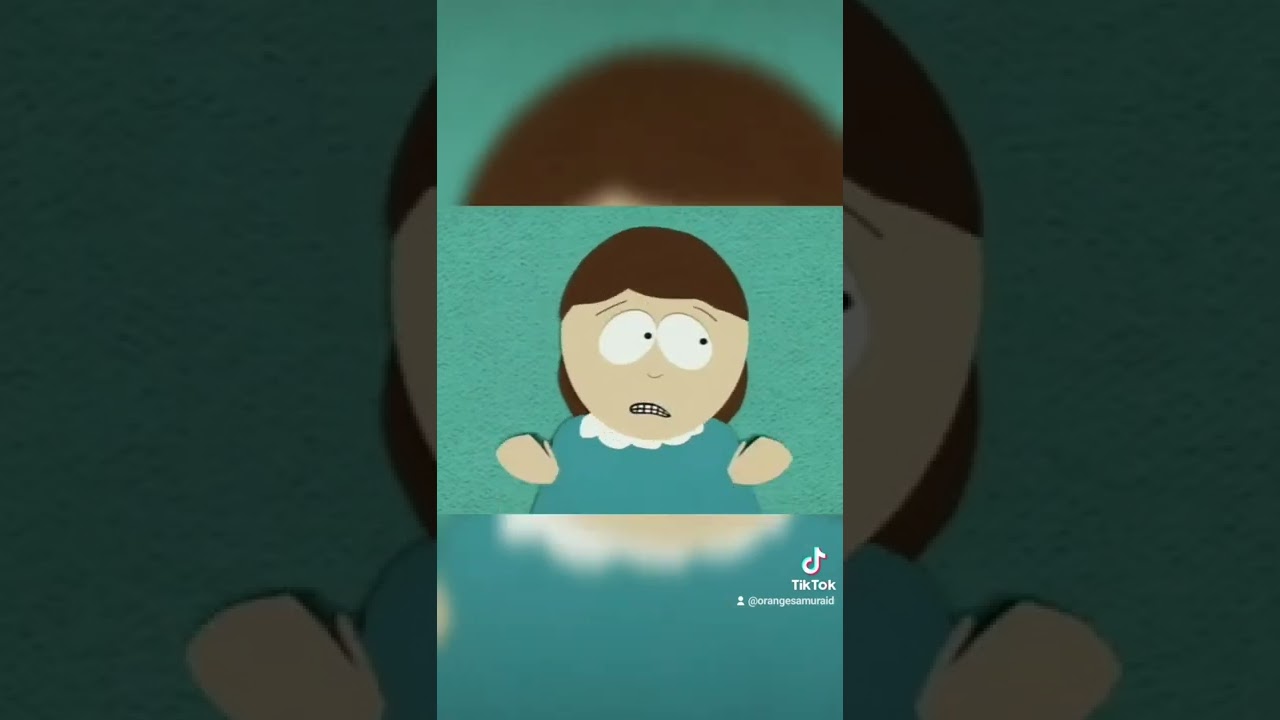 South Park sometimes gets it right. #orangesamuraid #Southpark #comedy