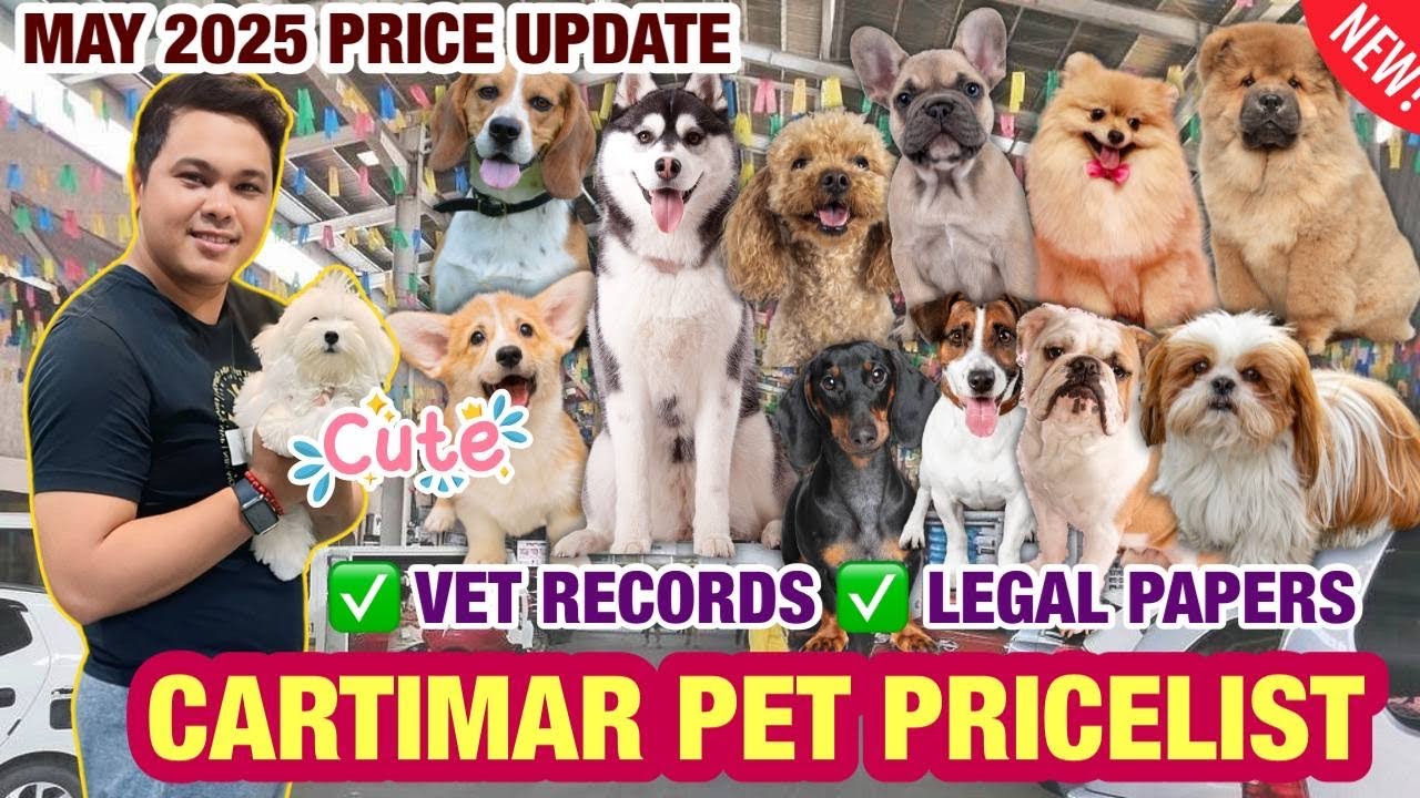 MAY 2025 UPDATED CARTIMAR PET PRICELIST + GIVEAWAY! CUTE & PURE BREED PUPPIES *MUST WATCH*