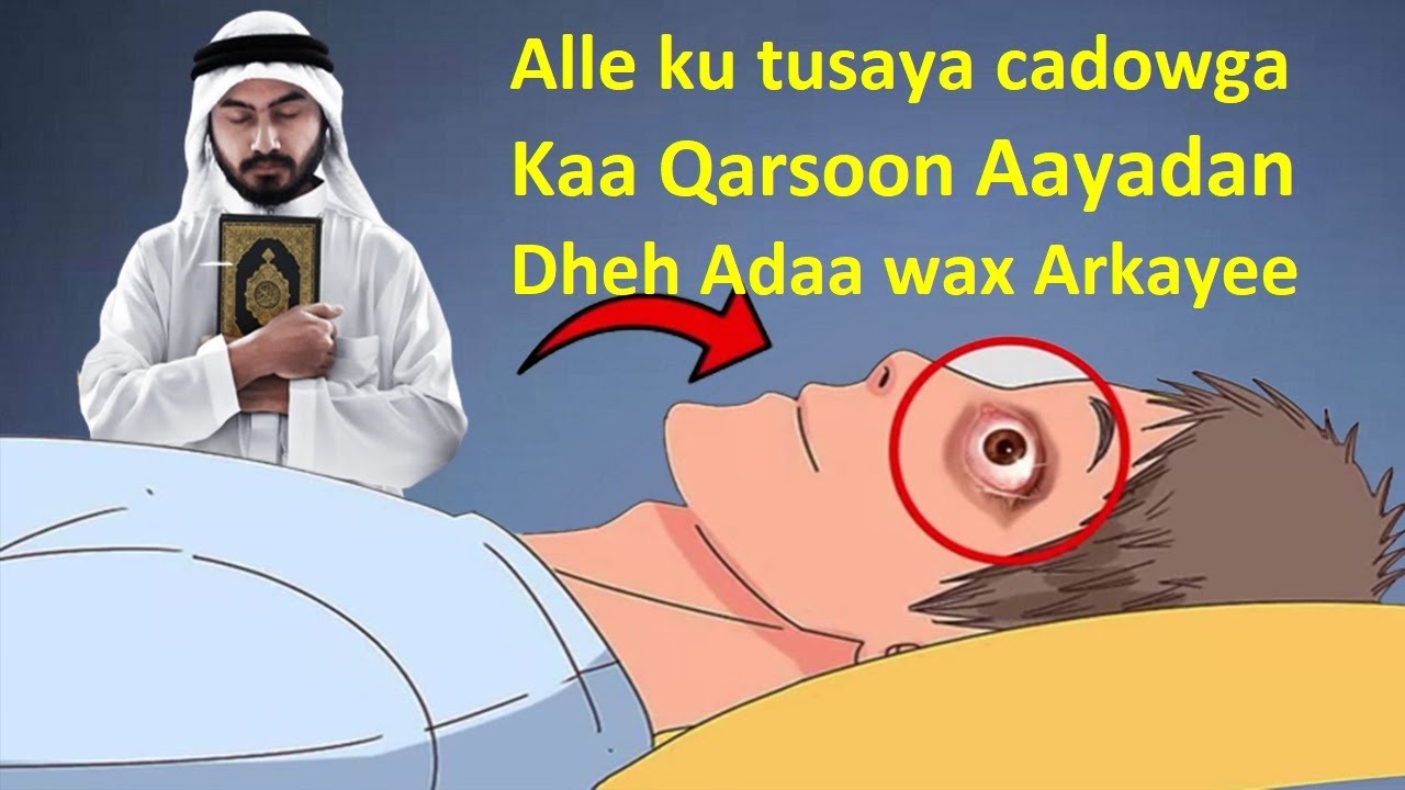 Sir ku ogaanayso Qofka ku Dhibay cadowga ku xasday noloshaada kaxun Aayadan Akhri intaadan seexan