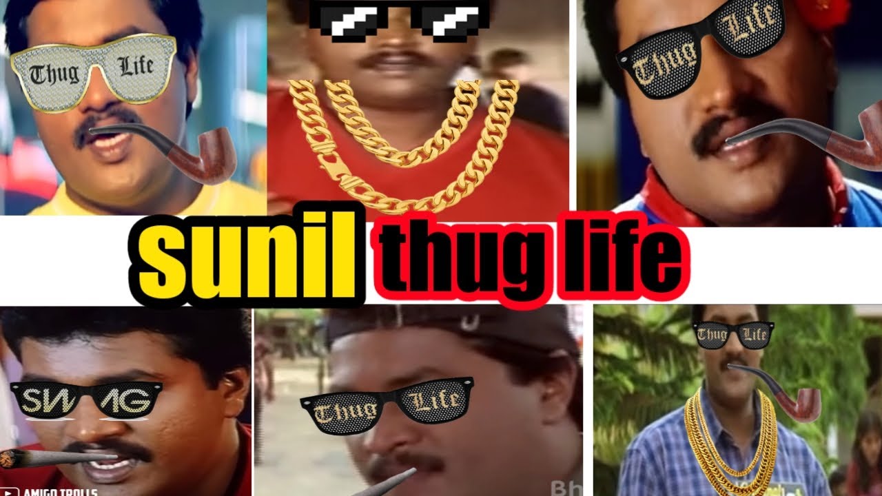 sunil thug life | Sunil comedy punches | Telugu thug life | thug life Sunil