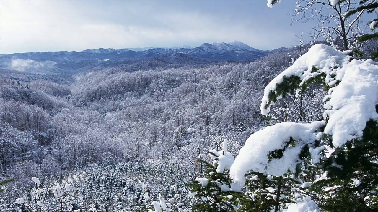 北海道新十津川町 3rd PV