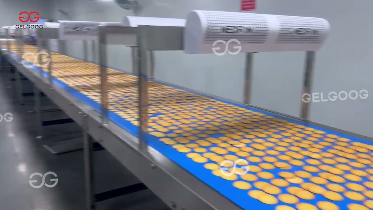 Crackers Production Machine with Salt, Sugar and Vegetables