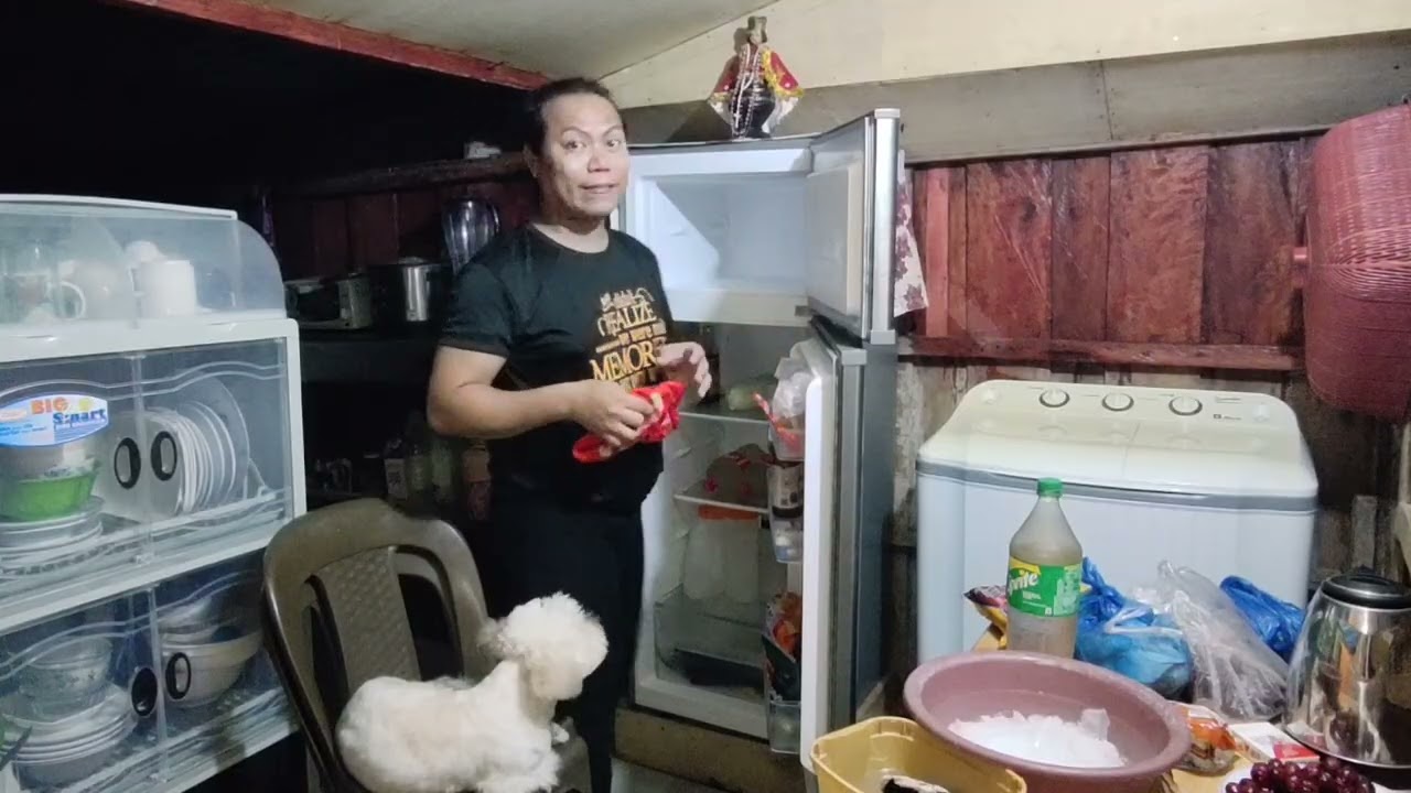 DAHILAN KUNG BAKIT SAPOTON KO SA BAHAY NILA MOTHER EARTH 