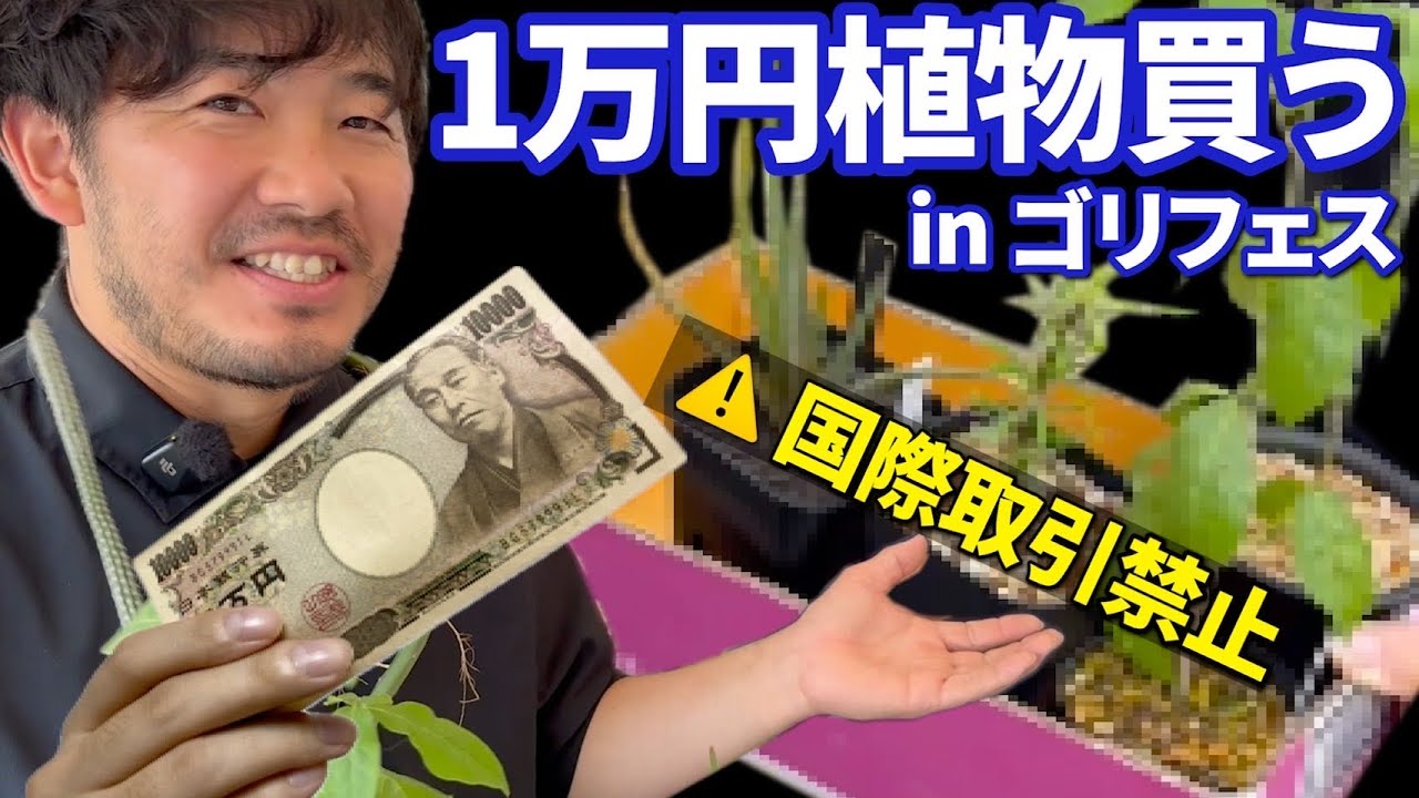 【1万円チャレンジ】ゴリフェスで買った植物、まさかの“全部ほぼ棒”ww