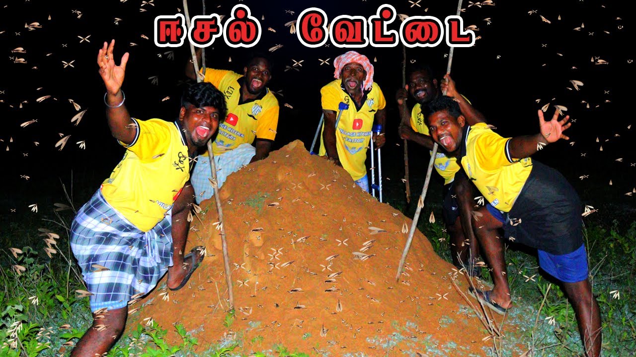 Eesal Vettai | HUNTING TERMITE and Cooking | Healthy Village Food | VILLAGE KITCHEN FACTORY | VKF