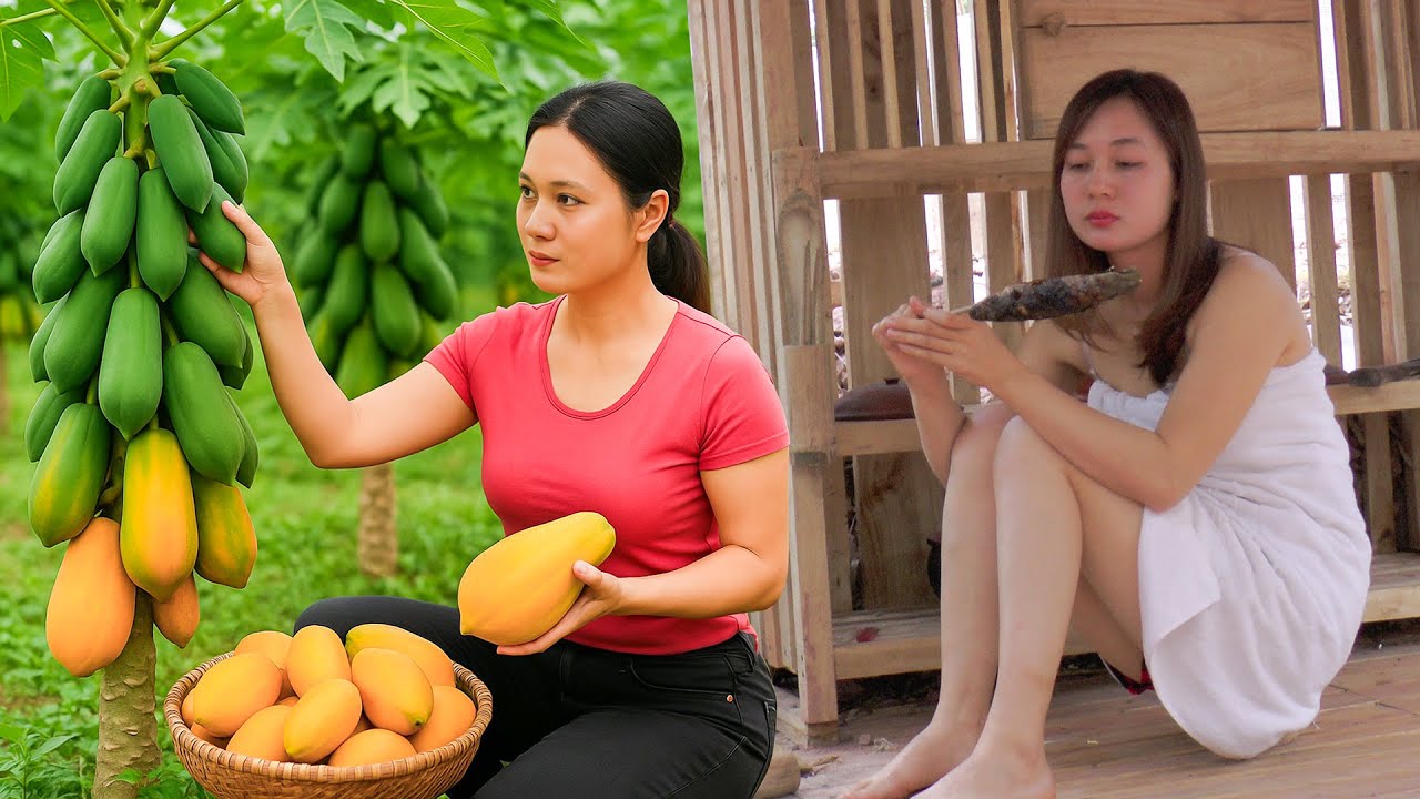 Green Life: 💕 45 Days Caring for My Sick Sister & Harvesting Ripe Papayas for Market Sale!