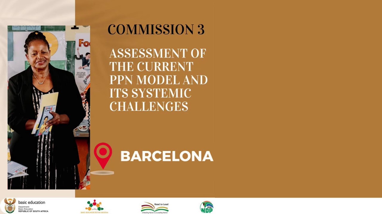 Commission 3: Assessment of The Current PPN Model and Its Systemic Challenges