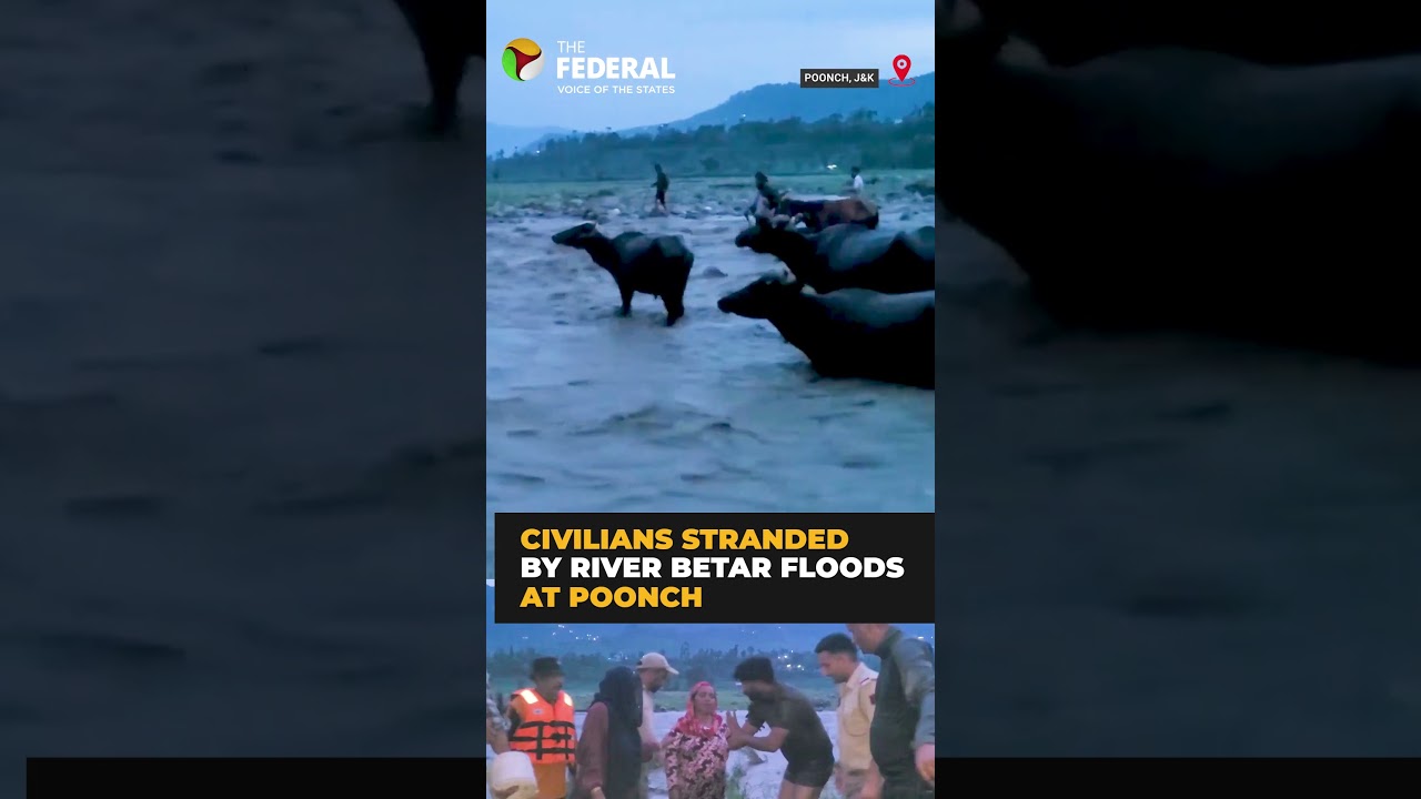 J&K police, SDRF rescue stranded civilians and livestock | #shorts