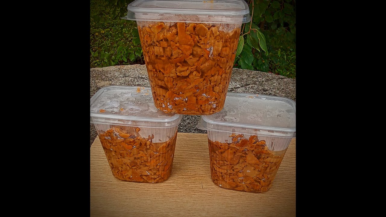 FRIED CHANTERELLES IN PORK FAT!!! CEPTAS GAILENES CŪKU TAUKOS!!! ЖАРЕНЫЕ ЛИСИЧКИ НА СВИНОМ ЖИРЕ!!!