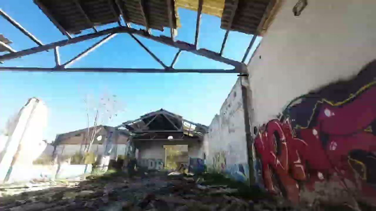 Olesa