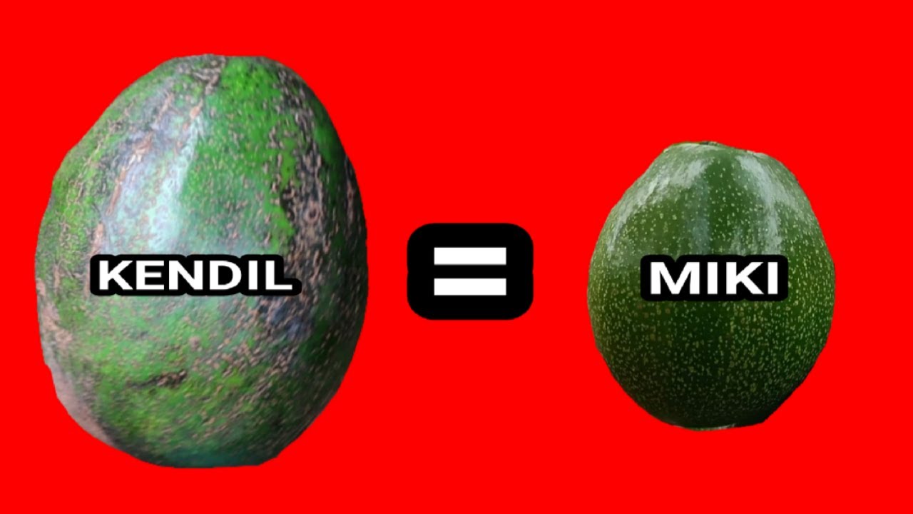 PERBEDAAN BUAH ALPUKAT MIKI DENGAN ALPUKAT KENDIL