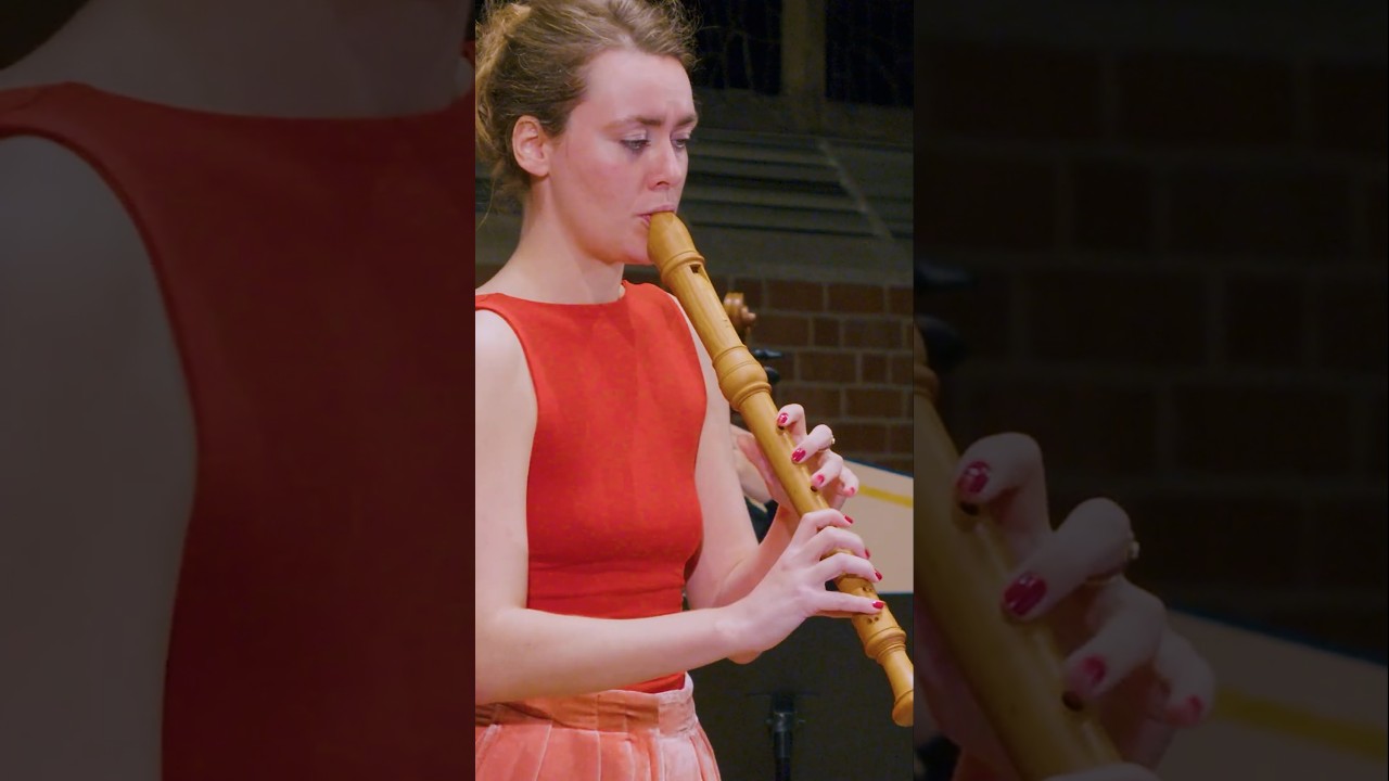 Recorder crew, let's go! 🎵🤩 #recorder #teamrecorder #violin #roman #sweden #baroque