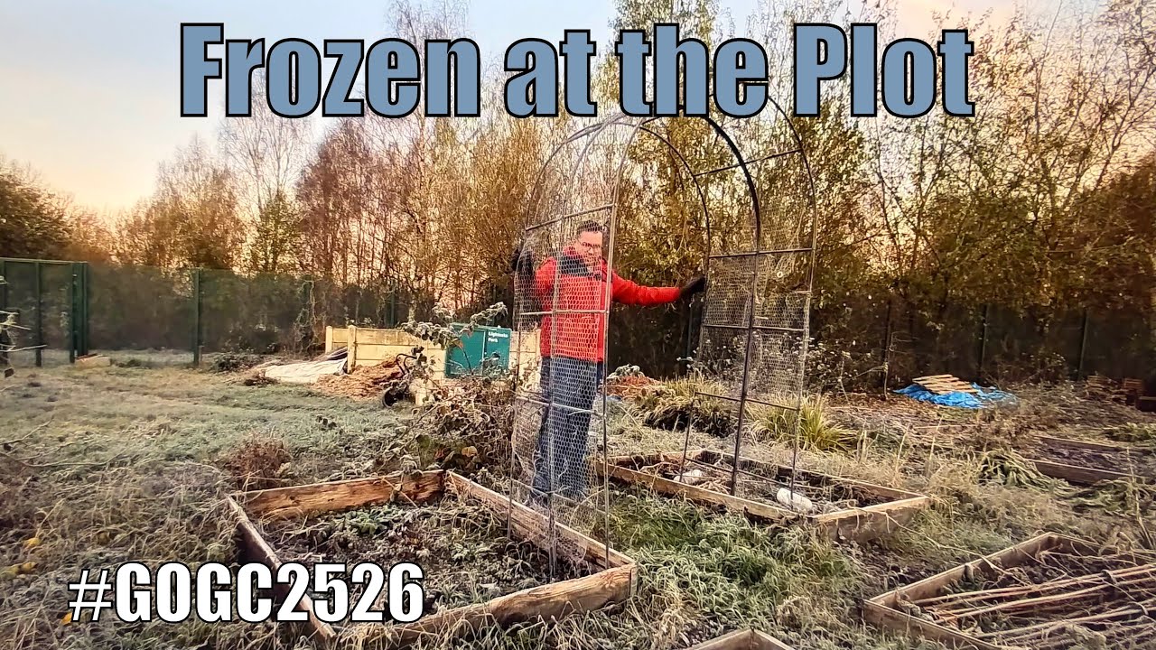 Frozen at the plot | Giant Onion Growing Challenge 1 | #GOGC2526 |