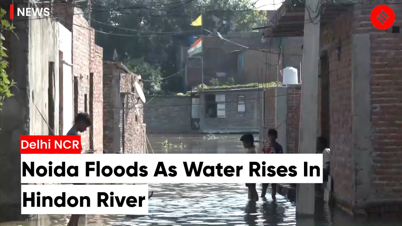 Noida Flood: Rising Levels In Hindon River Floods Localities In Noida; Yamuna Crosses Danger Mark