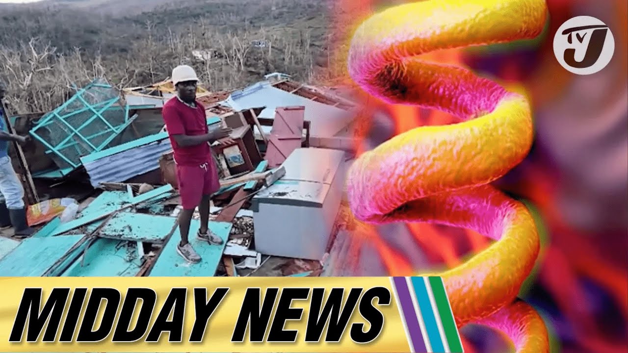 Civil Society Questions Handling of Relief Funds | Leptospirosis Cases Rising #tvjmiddaynews 