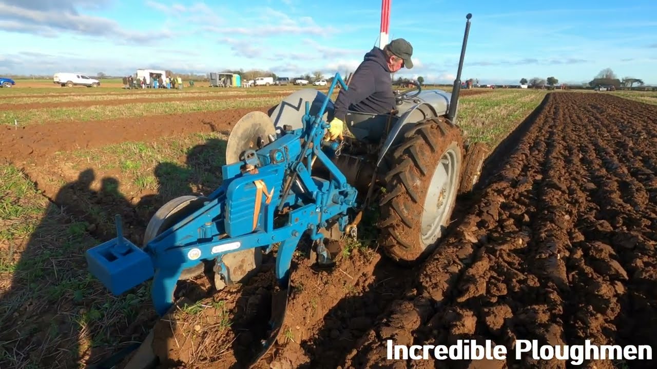 1957 Ferguson FE35 Gold Belly 2.3 Litre 4-Cyl Diesel (34 HP) with Ransomes Plough