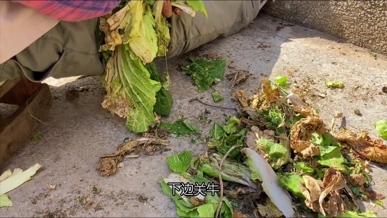 云机五厂，从迫击炮到蓝箭汽车，坎坎坷坷几十年