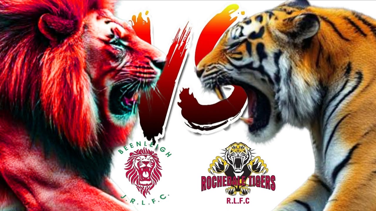 LIONS V ROACHDALE TIGERS U13 DIV 2