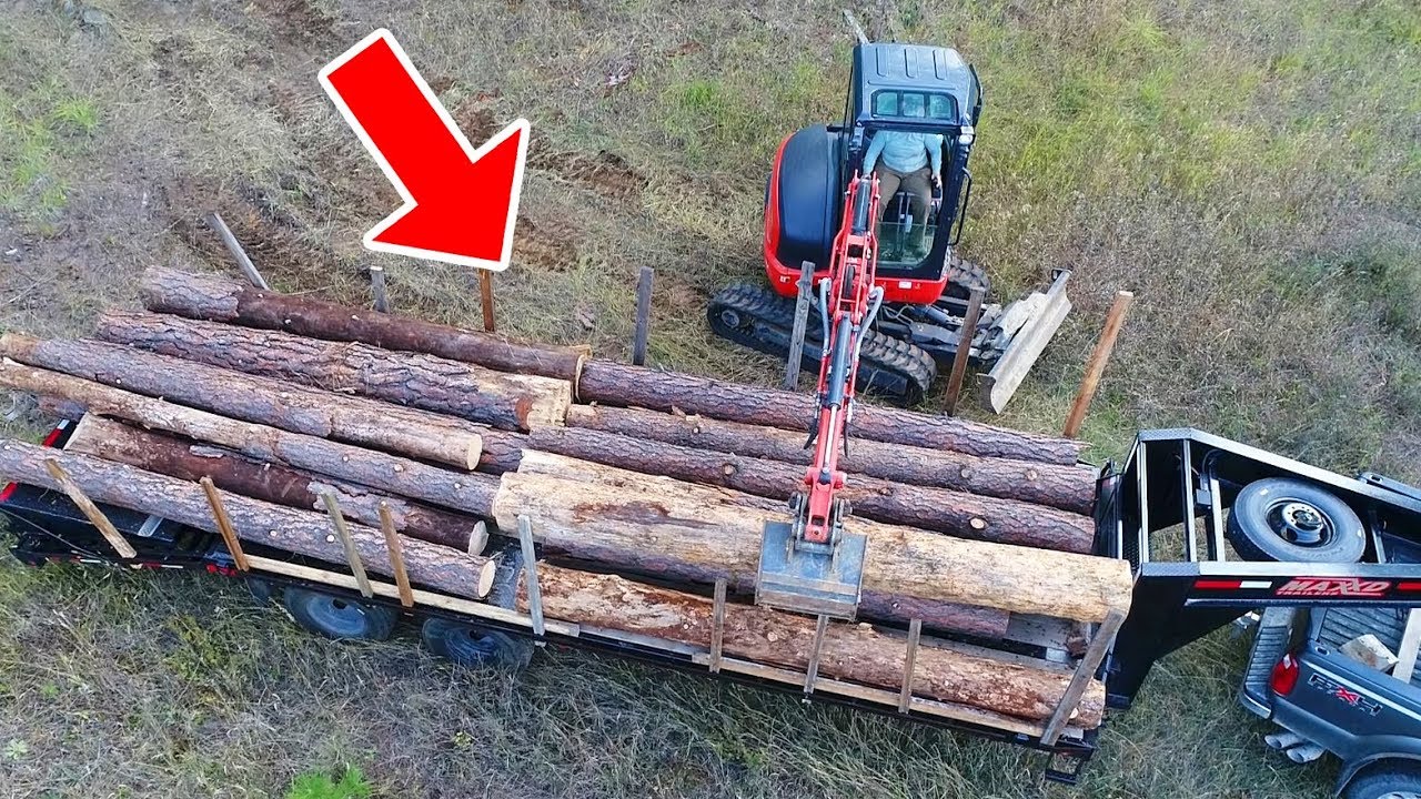 Logging With an Excavator (Impressive)