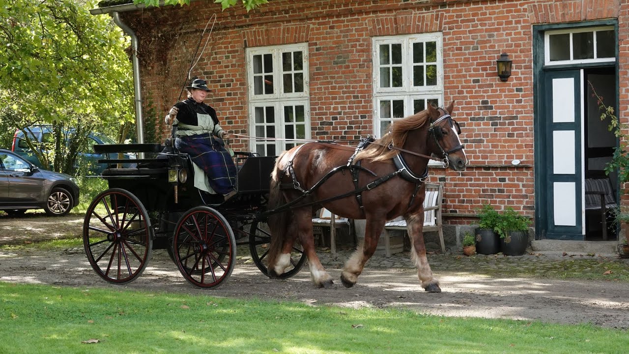 Historische Kutschen im Naturpark Westensee