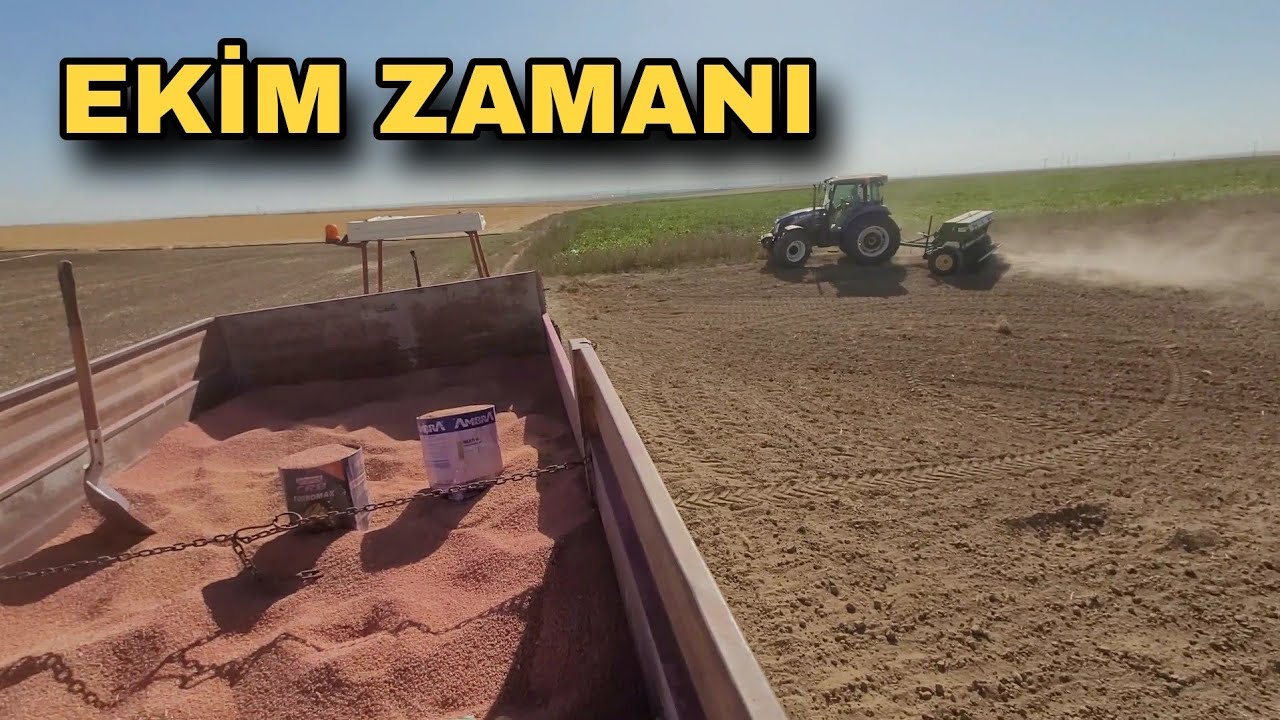EKİM ZAMANI HEM ARPA HEM BUĞDAY EKTİK. SON DÜZLÜK ARTIK...
