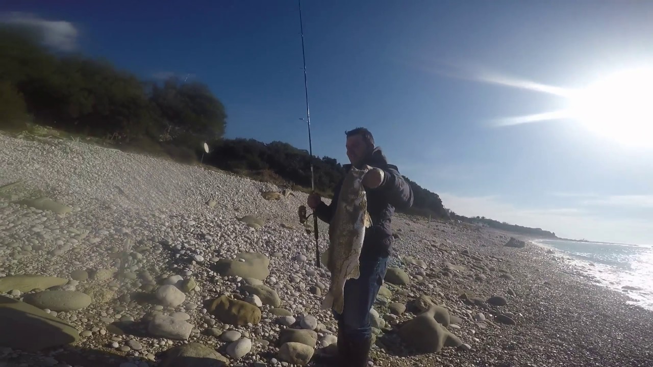 james sea bass spinning