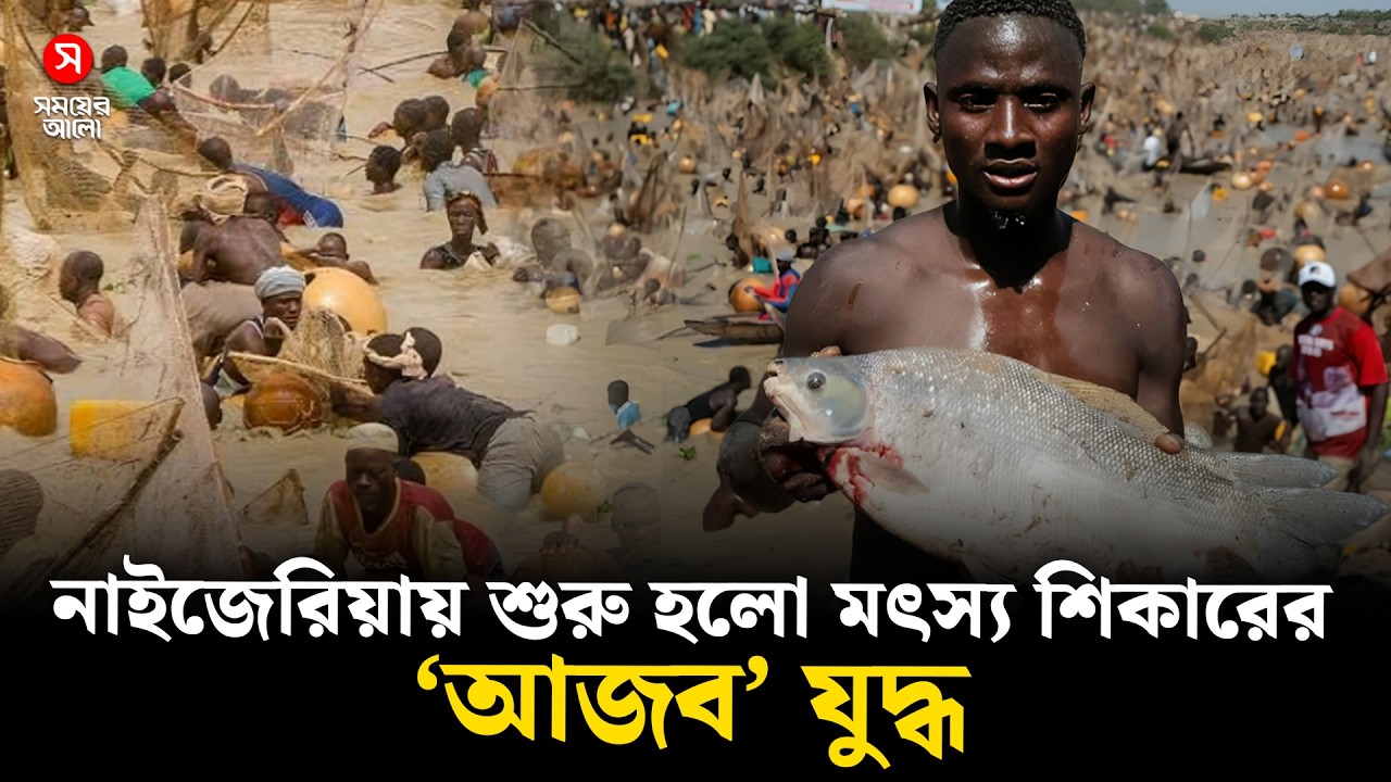 বিশালাকায় মাছ ধরলেই মিলবে চকচকে গাড়ি, নাইজেরিয়ায় মাছ ধরার মহোৎসব | Fishing Festival | Prize Car
