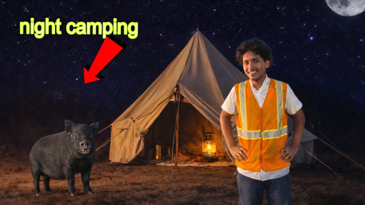 Night jungle camping dangurus 😧||camping night pig 🐖#camping 