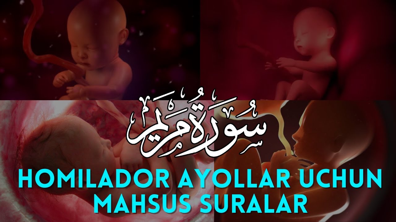 Homiladorlik uchun go'zal Maryam surasi ❤️ 2024 yilda homiladorlikda har kuni ko'ring va tinglang