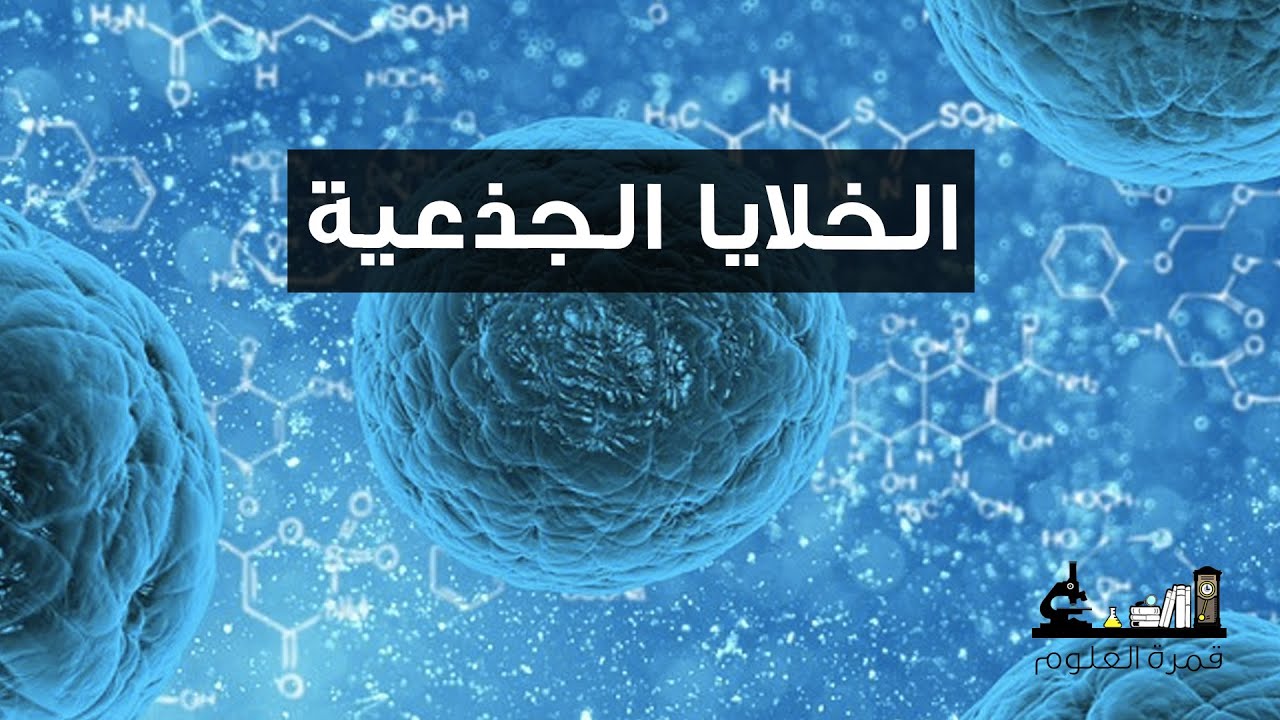 الخلايا الجذعية