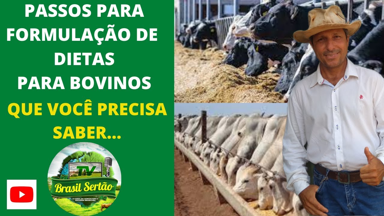 PASSOS PARA FORMULA&Ccedil;&Acirc;O DE DIETAS PARA BOVINOS QUE VOC&Ecirc; PRECISA CONHECER...