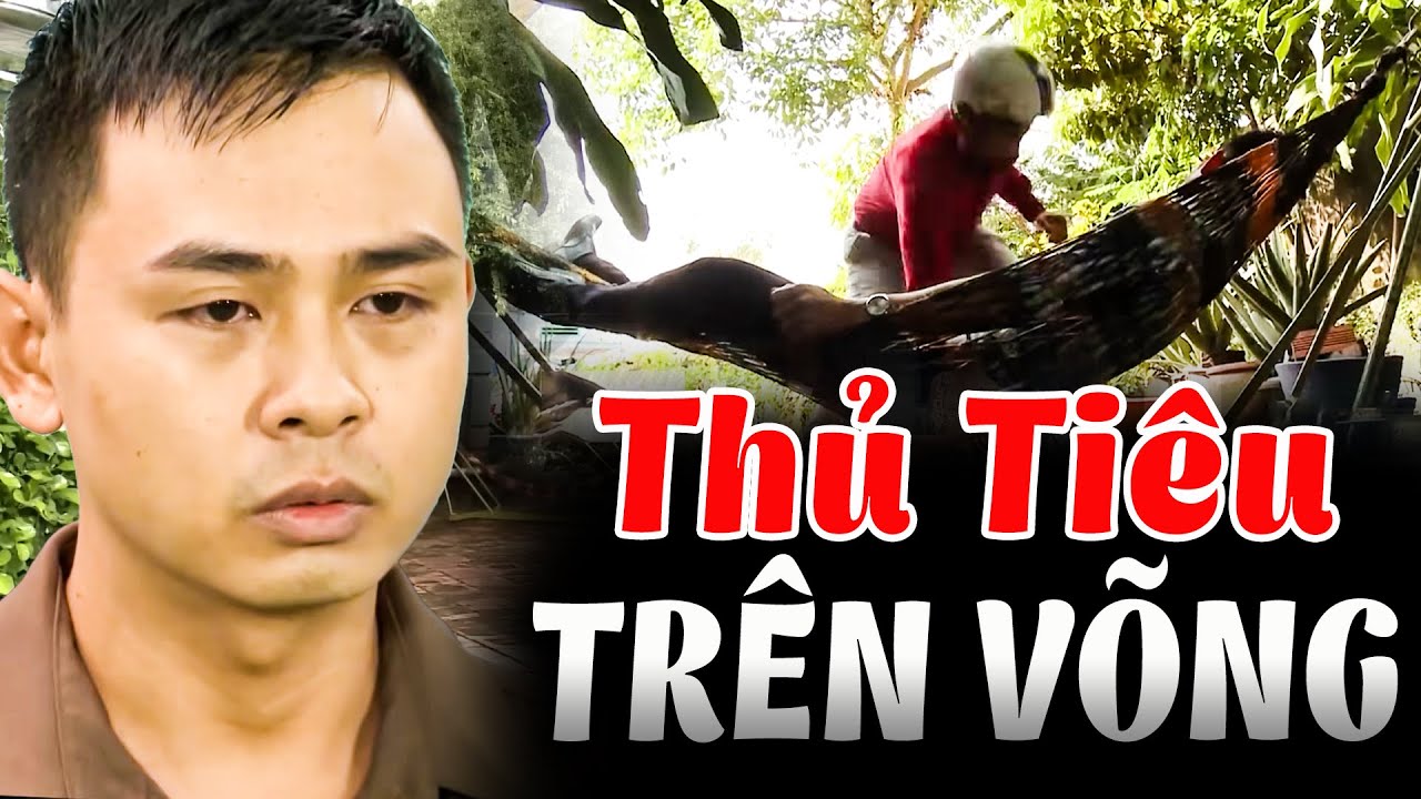 THỦ TIÊU TRÊN VÕNG | Truy Tìm Bằng Chứng 2025 | Ký Sự Pháp Đình THVL | Chuyện Cảnh Giác Mới 2025