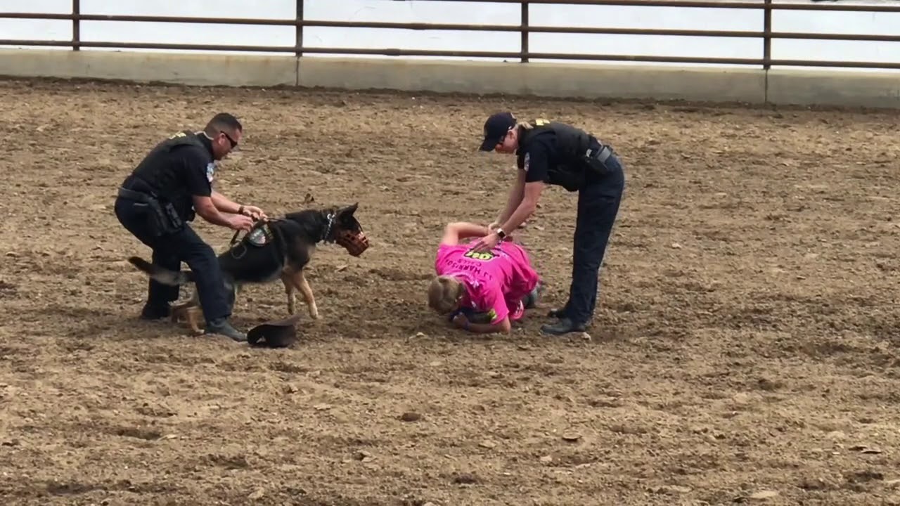 K9 Demo Clovis Rodeo 2018