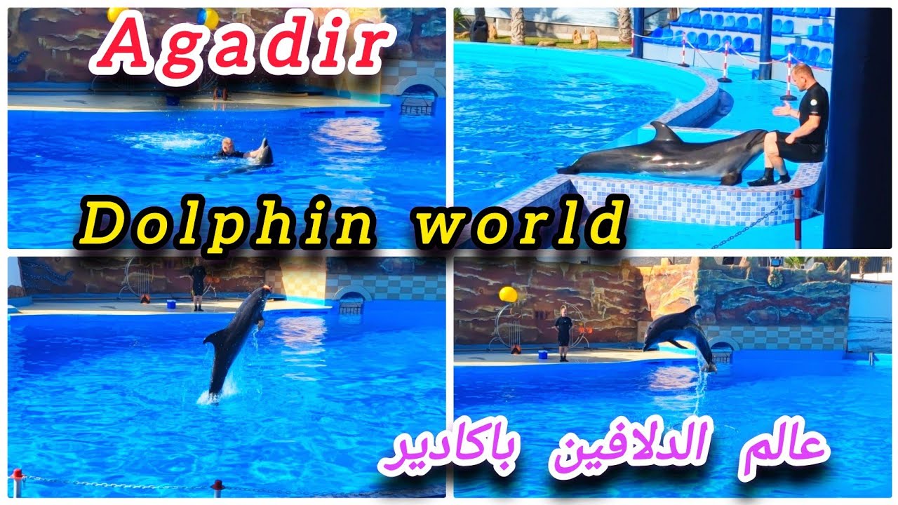 💥Agadir dolphins world🐬عالم الدلافين بمدينة أكادير🛑شاهد العرض كأنك هناك👌ثمن تذكرة الدخول والاوقات