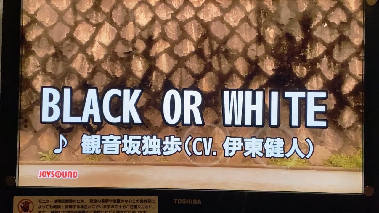 【ヒプマイ】BLACK OR WHITE【歌ってみた】