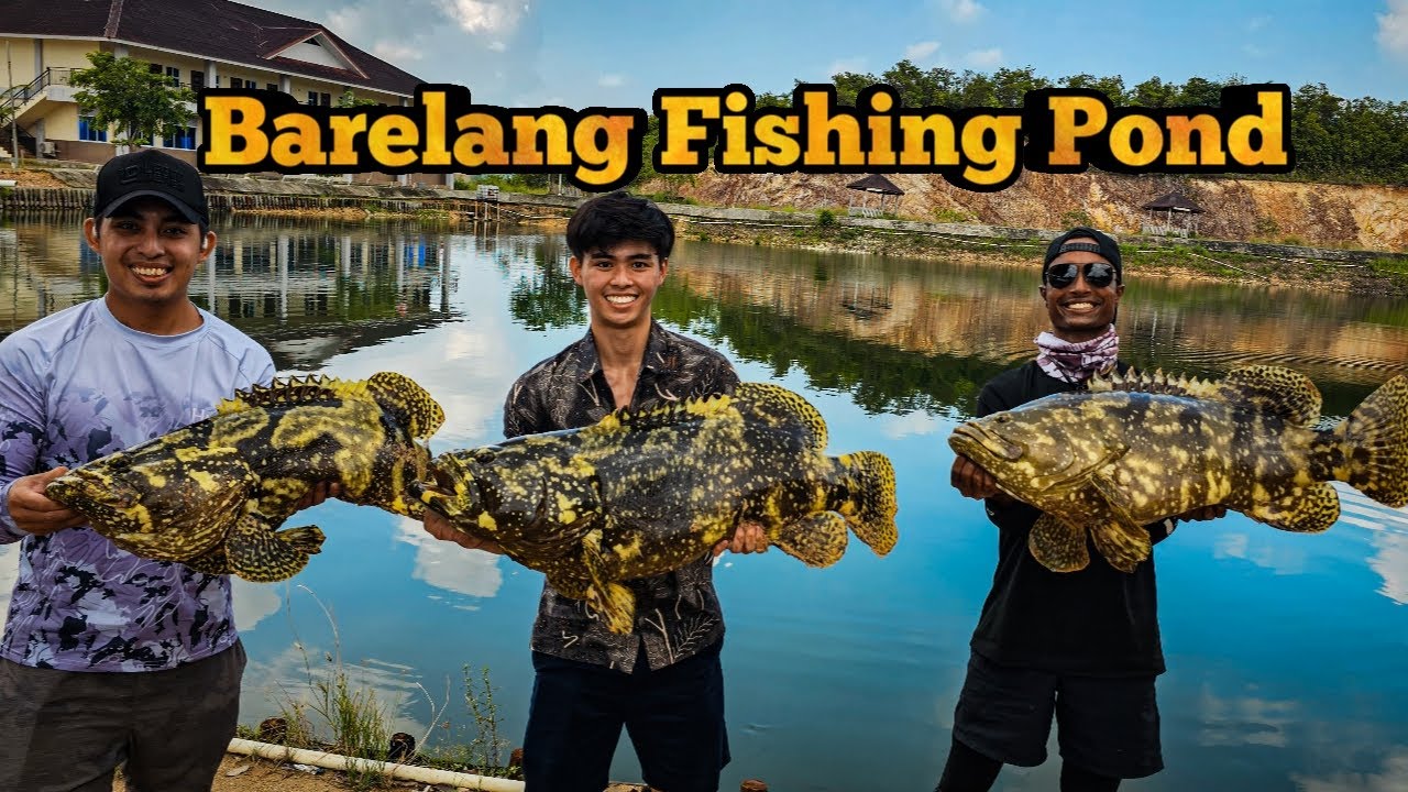 NON STOP GROUPER FISHING ACTION