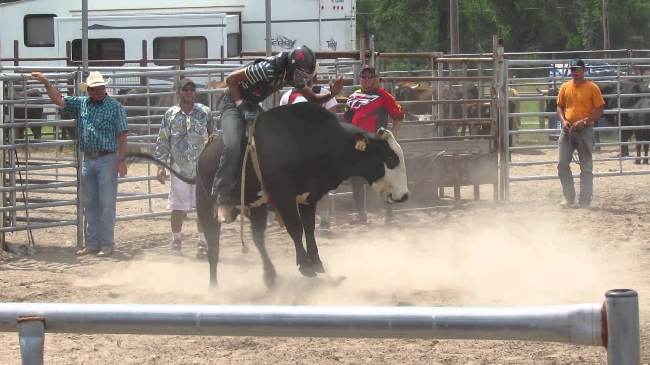 BFC Roughstock School Steers and Bullriding Sunday After Lunch 2014 18