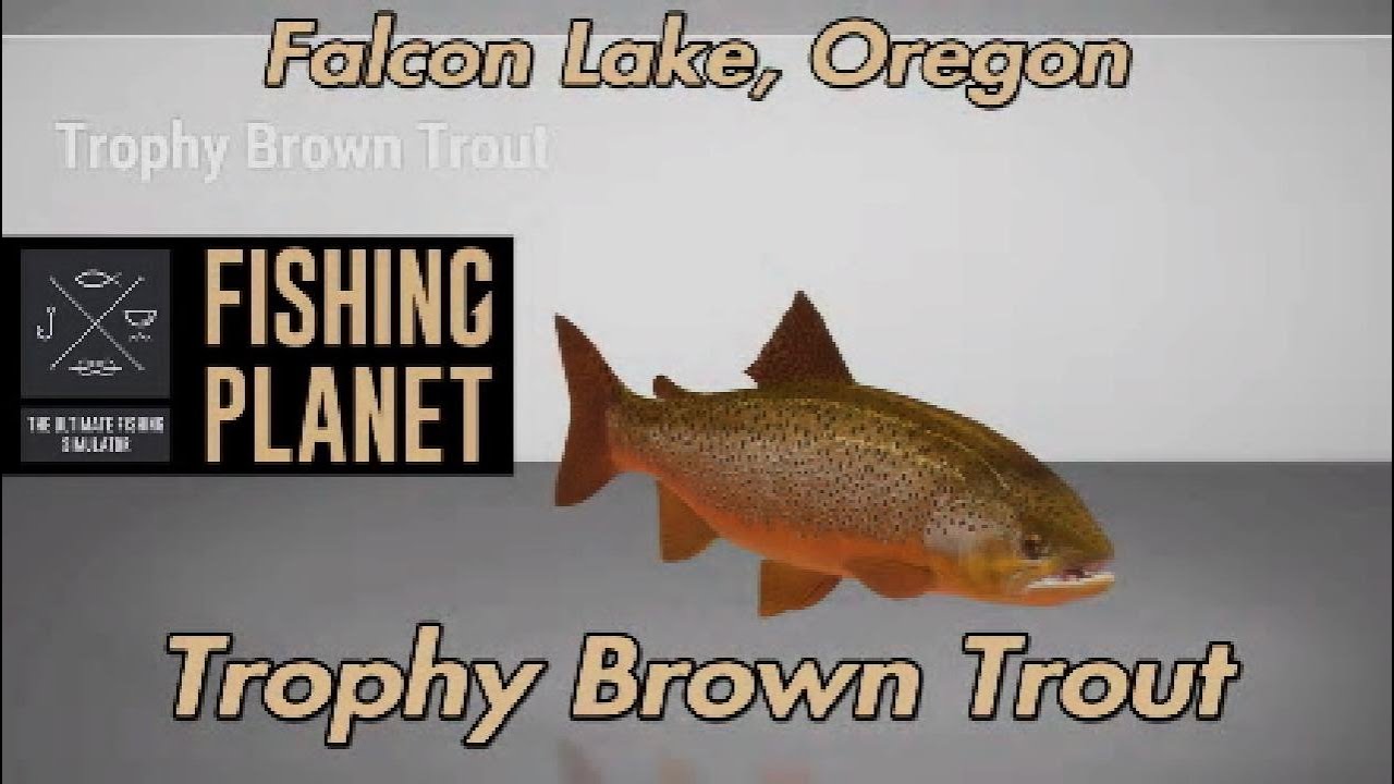 Trophy Brown Trout Falcon Lake Oregon Fishing Planet Guide