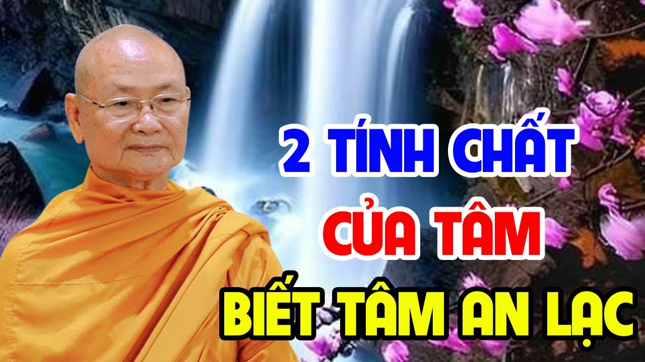 2 TÍNH CHẤT CỦA TÂM Biết 2 Tính Chất Này TÂM LUÔN THANH TỊNH AN LẠC | Thầy Viên Minh Giảng