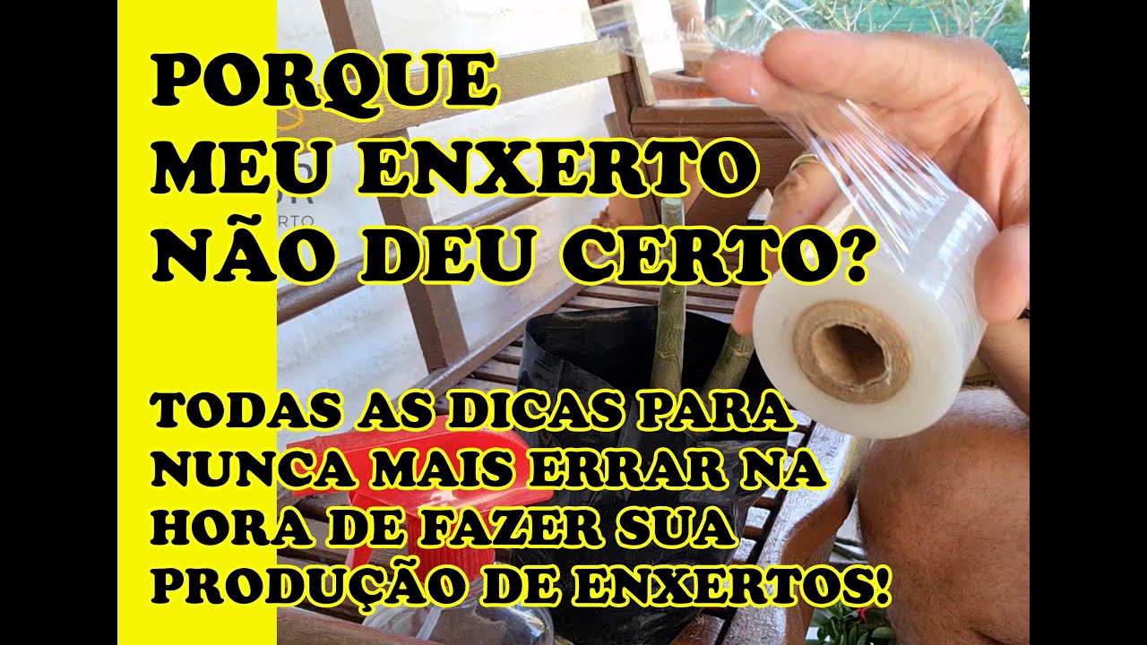 ROSA DO DESERTO -  NUNCA MAIS PERCA ENXERTOS - TODOS OS SEGREDOS DA ENXERTIA PARA NÃO ERRAR MAIS! 💛