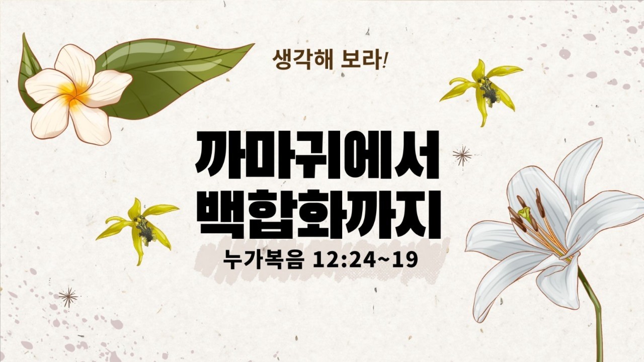 넘치는교회 주일예배 2026-02-22 [까마귀에서 백합화까지]  누가복음12:24~29