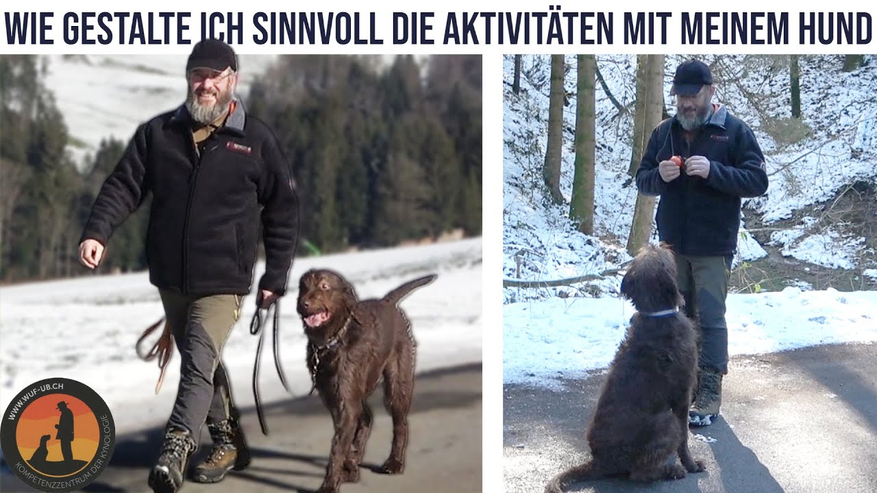 Fördert der Hundespaziergang den Ungehorsam, das Jagen oder sogar die Leinenaggression | HS U.B.