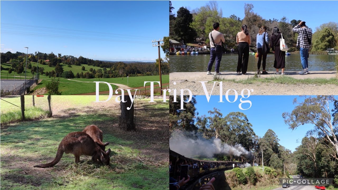 A daytrip at Puffing Billy and Healesville Sanctuary