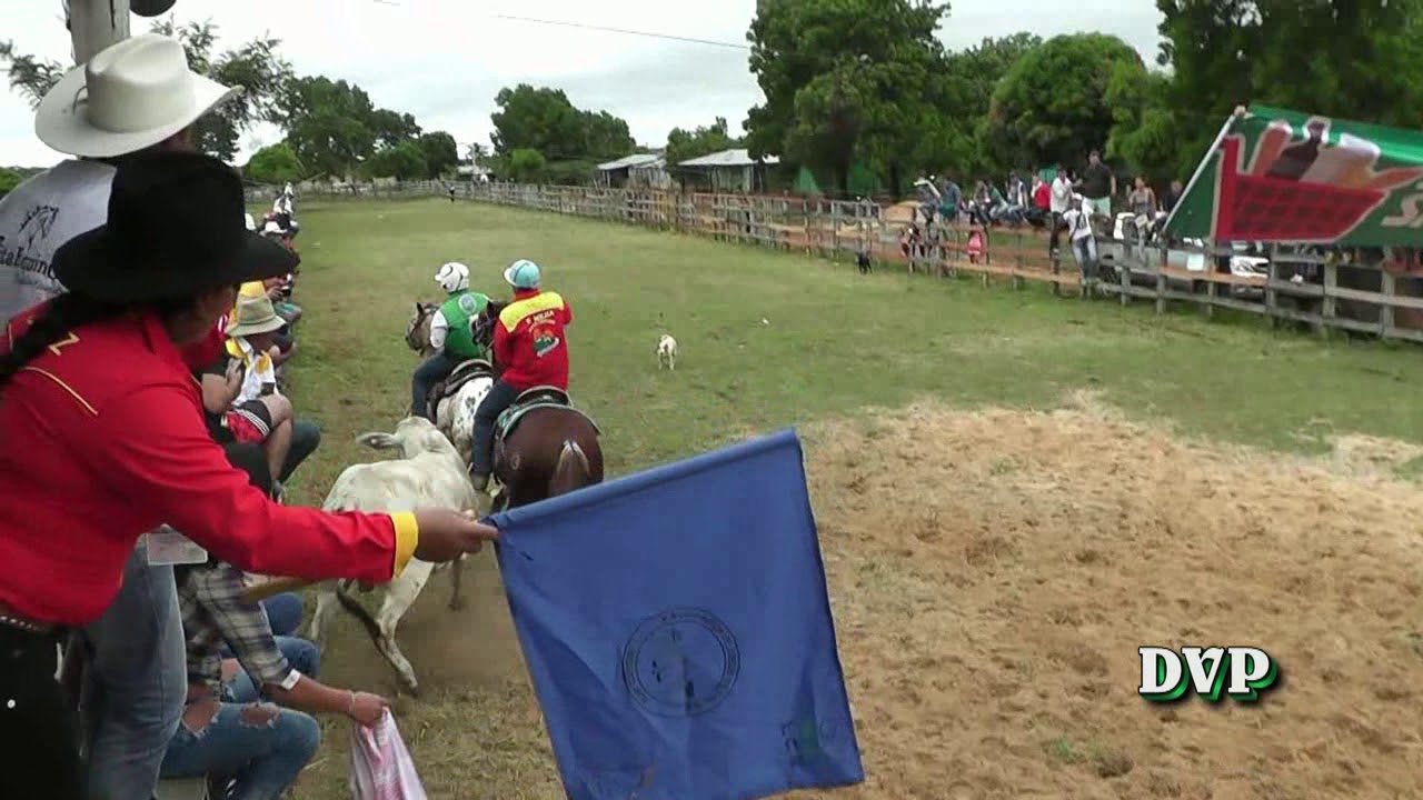COLEO ZAINO 2017