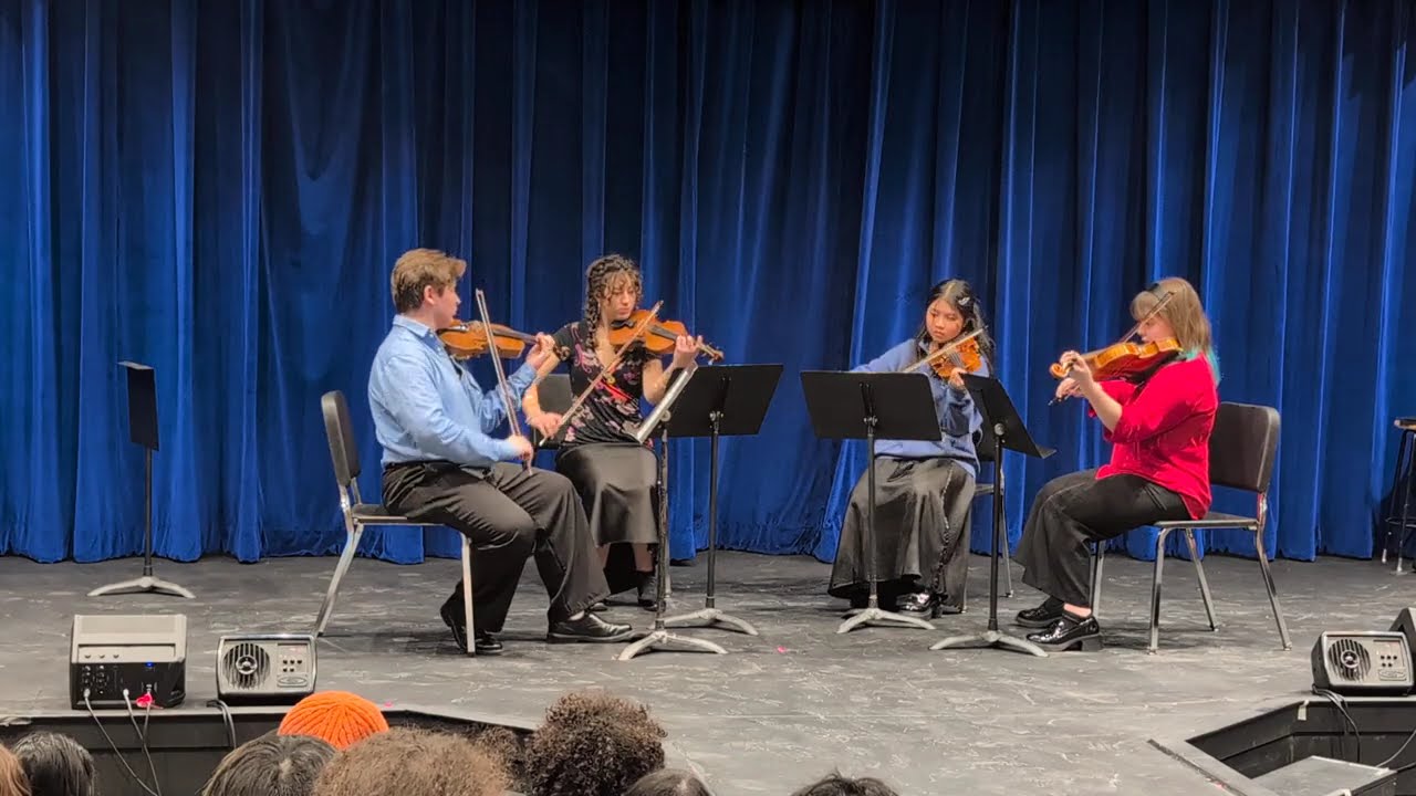 PVA Strings Chamber Groups Semester 1 - Quartet for 3 violins and viola