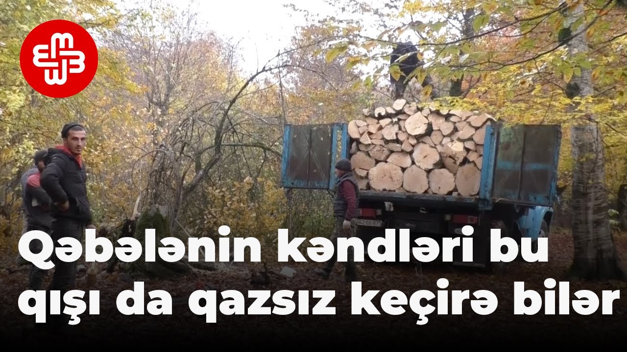 Qəbələ sakinləri : 