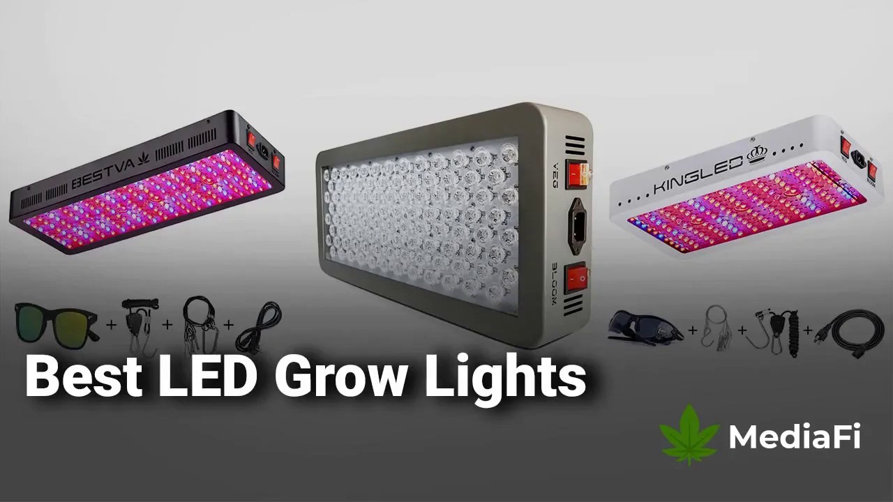 Best LED Grow Lights 2020 in the Market &ndash; High Times Reviews for Weed/Cannabis