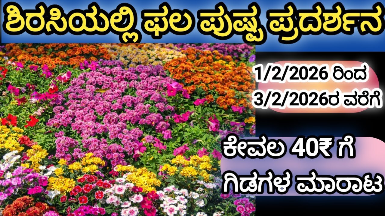Sirsi ಫಲ–ಪುಷ್ಪ ಪ್ರದರ್ಶನ 🌼 | ಎಲ್ಲರಿಗೂ ಕೈಗೆಟುಕುವ ಬೆಲೆಗೆ ಗಿಡಗಳು @malenadahudugibindu