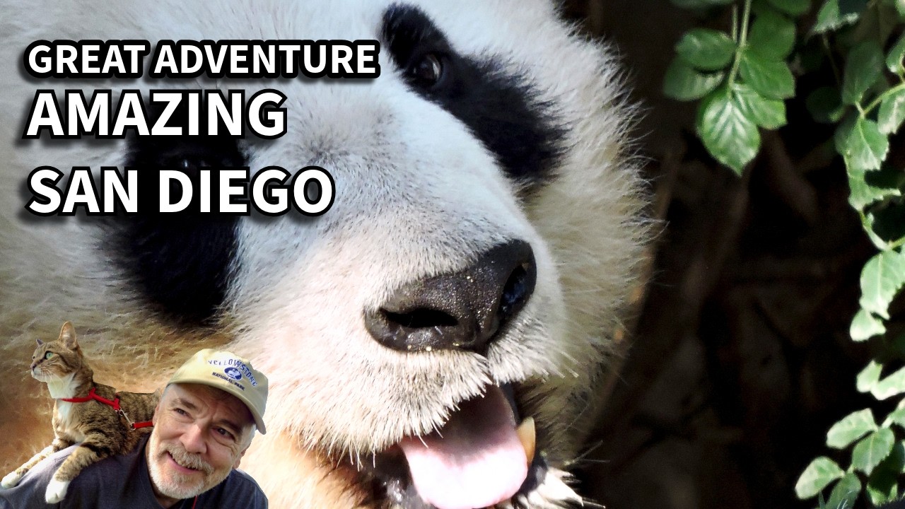 From Desert to San Diego Bay | Great Adventure Part 28