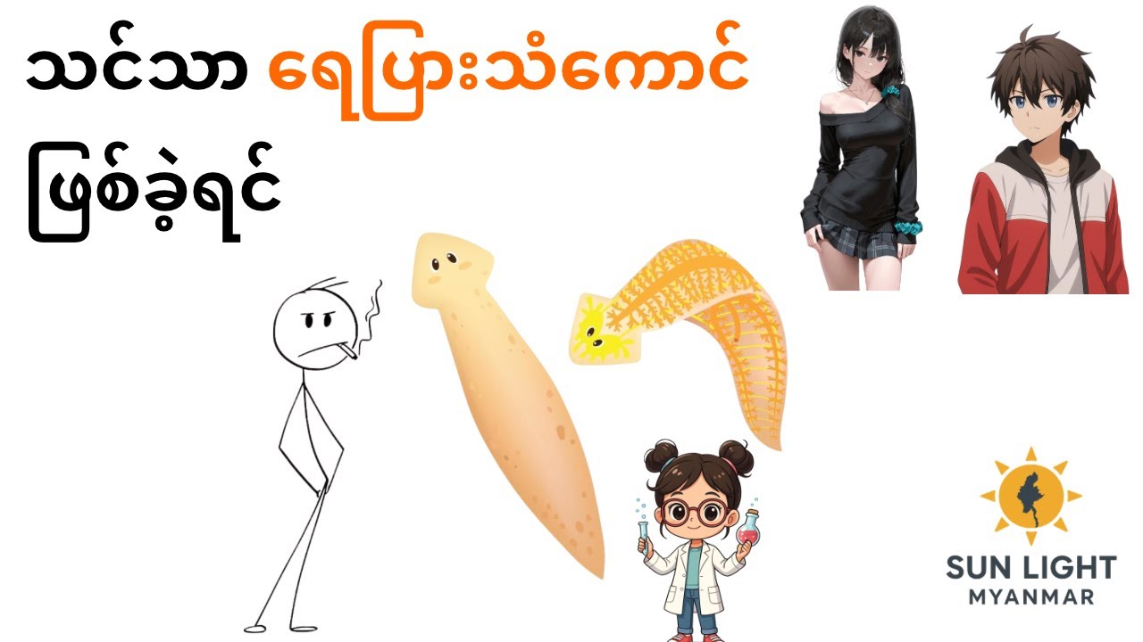 သင်သာ ရေပြားသန်ကောင် ဖြစ်ခဲ့ရင်